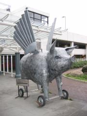 Dublin: Fliegendes Schwein am Flughafen