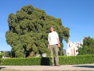 El Tule: Ein ueber 2000 Jahre alter Baum, eine Kirche und ich